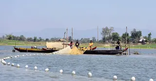 আজ মধ্যরাত থেকে কাপ্তাই হ্রদে মাছ আহরণ শুরু